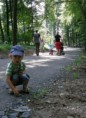 /album/fotogalerie-lesni-park/lesni-park-nova-parkova-cesta-upravena-i-pro-vozickare-jpg/